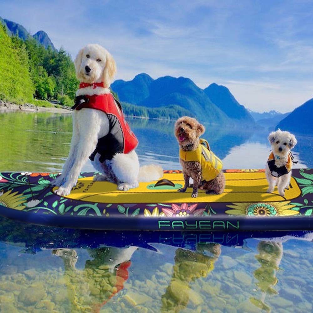 How to Paddleboard with a Dog?
